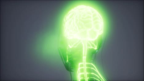 Examen-De-Radiología-Del-Cerebro-Humano